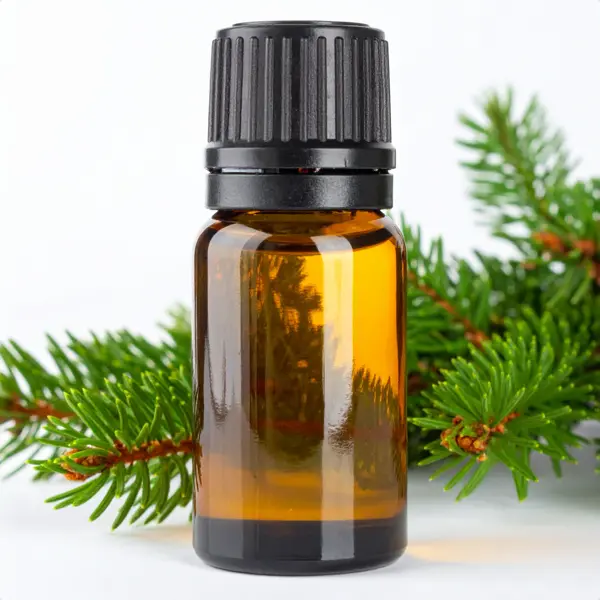 Frasier Fir Clean Fragrance Plug In